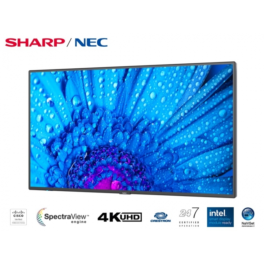 Imagen para sitio web