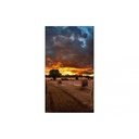 Imagen para sitio web