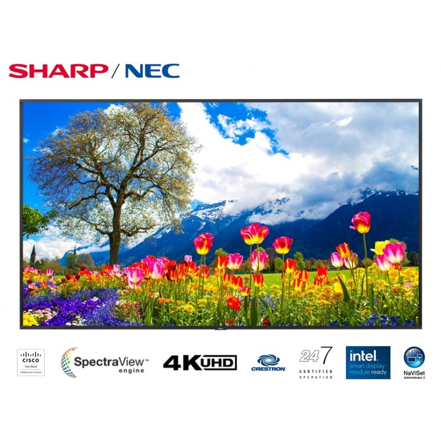 Imagen para sitio web