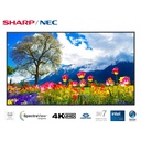 Imagen para sitio web