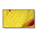 Imagen para sitio web