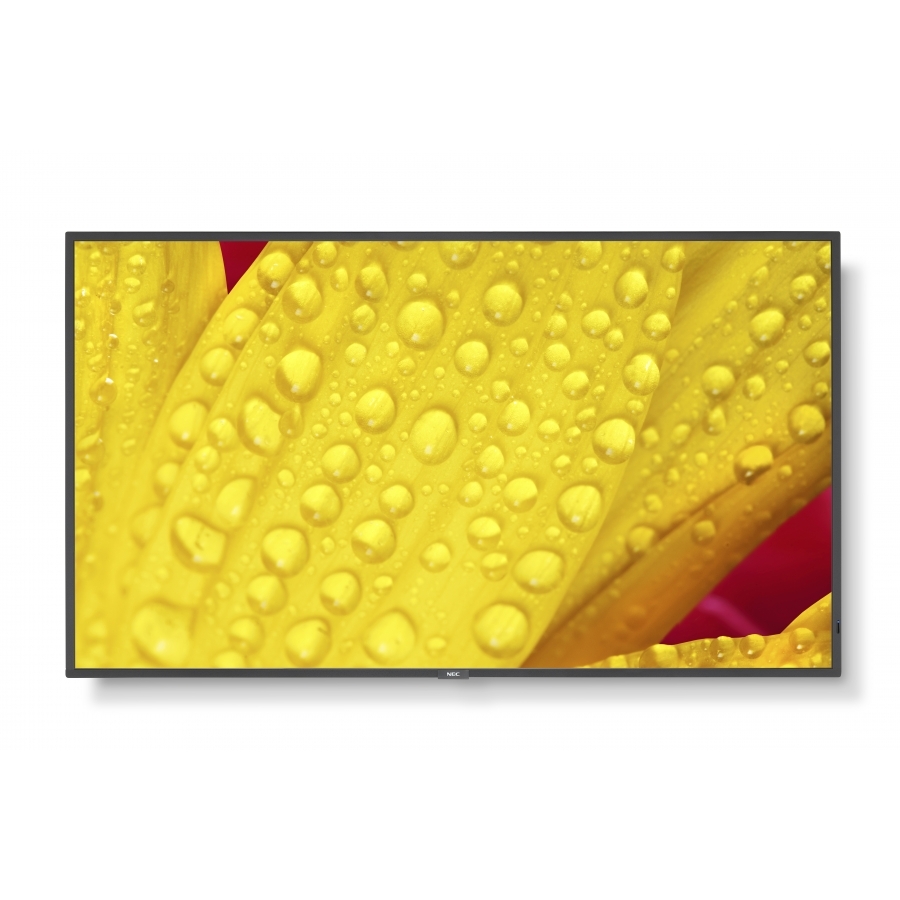 Imagen para sitio web