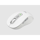 Imagen para sitio web