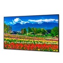 Monitor Profesional de 75 NEC M751 UHD 3840 x 2160 24/7, 500 cd/m2, Compatible con Intel SDM y RPI Compute Module 4, Vertical/Horizontal, 2 HDMI/HDCP, 2 DisplayPort/HDCP, VGA, RJ-45