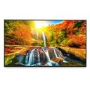 Monitor Profesional Sharp de 55 PN-ME552 UHD 3840 x 2160 18/7, 450 cd/m2, Cont 1200:1, USB-C HDCP, 3 HDMI, Android 13, con 3 años de Garantía