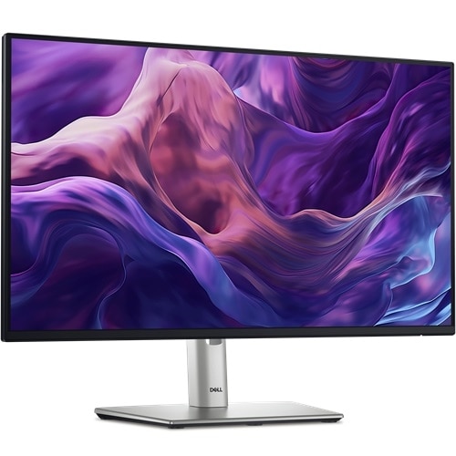 Monitor Dell P2425H, 23.8 pulgadas, FHD 1920x1080, 100Hz, HDMI, VGA, DP, USB, 3 años de garantía, 210-BMGH