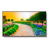 Monitor Profesional NEC de 65 M651 UHD 3840 x 2160 24/7, 500 cd/m2, 8000:1, HDMI, DisplayPort HDCP, USB, RJ-45, Intel SDM y RPI4, 3 años de Garantía