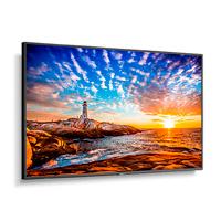 Monitor profesional NEC, 55, P555 LED, 24/7, 700 cd/m², 10 bit, UHD, HDMI in/out ARC, DP in/out, USB, cont. 8000:1, compatible Intel SDM, Raspberry Pi, Cisco y DICOM