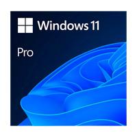 [FQC-10572] ESD Windows 11 Pro 64 Bit, multilenguaje, uso comercial, descarga digital.